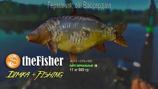 TheFisher Online. Рыбалка в Германии. КАРП... оз. Вассердам