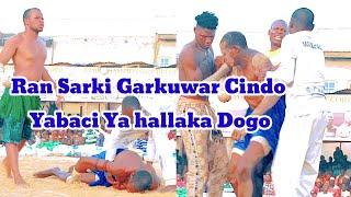 18 June 2024 Ran Sarki Garkuwar Cindo yabaci Yau Ya Hallaka Dogo Na Karkarna Yanzu yanzu