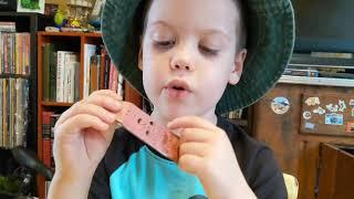 Collins Wood Fingerboard Unboxing - Dogtown Board