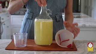 Cómo hacer una LIMONADA PROBIÓTICA