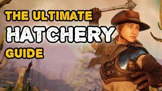 New World: The Ultimate Hatchery Guide