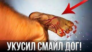 вызов духов- Смайл Дог укусил  за ногу 18 + крипипаста / Smile Dog CREEPY