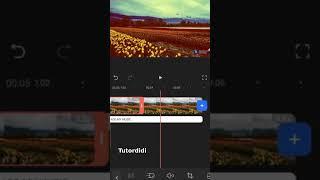 How To Add Filter Using FilmoraGo