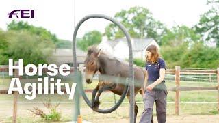 Have you ever heard about Horse Agility? | RIDE presented by Longines