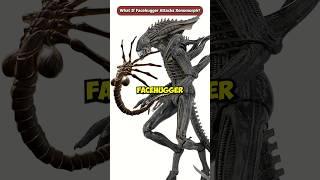 What If The Facehugger Attacks A Xenomorph? #shorts #viral