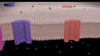 Ion channels