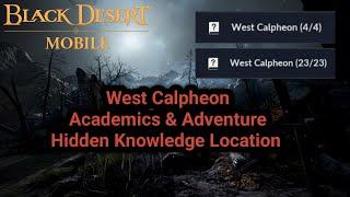 West Calpheon | Academics & Adventure Hidden Knowledge Location | Black Desert Mobile