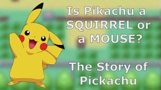 Pokemon: Is Pikachu a Squirrel or a Mouse?? The Story of Pikachu