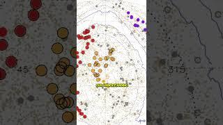 This Space Discovery is So BIG, It Shouldn’t Exist!