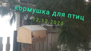 Кормушка для птиц и селфи палка штатив.видео с опозданием)))