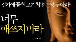 석가모니 명언 | 인생조언 |생각이 많고 예민한 사람|삶의 질을 높이는 방법|한 살이라도 어릴 때 이걸 하세요|매일 들으세요|삶이 힘들고 지칠 때| 부처님 불교 ASMR 수면