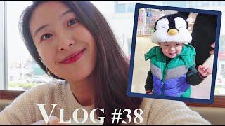 Vlog#38 回国啦！在青岛的悠闲日常 | 极地海洋世界看鱼 | 和朋友吃吃喝喝 | 海星成长碎片