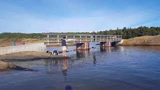 Asnes Camping   Sandefjord, Norway