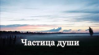 Частица души