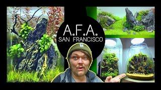 The First Aquascape Focused Store The USA. Nano Tanks: Aqua Forest Aquarium - San Francisco