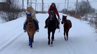 Верхом галопом по полям. Мои Багетик и Ника резвятся.