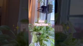 Any tips for a new mom? #plantmom #studiotour