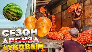Грузим Лукна Теплицу Альба дармовоз груз Газели в фуру? Легко