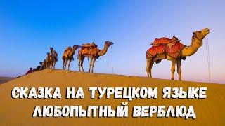 Сказка на турецком языке - Любопытный верблюд