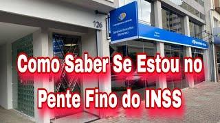 INSS: Como Saber Se Estou no Pente Fino do INSS