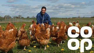 Co-op Food | Meet the Producer - Free Range Eggs