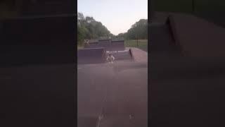 Поставил трёху на стол #skatepark #рекомендации #петябондарь