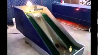 BEST FUNNY ANIMALS COMPILATION