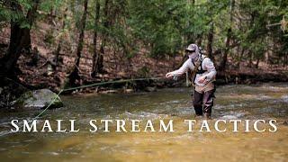 Small Stream Fly Fishing Tactics: Skagit