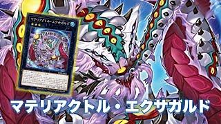 The Archetype Forgotten !! Materiactor Exagard DECK NEW CARD - YGOPRO