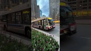 Welcome to Chicago, the dream city ️️Sunsets reflected in the river, or snow drifting