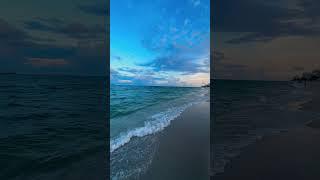 Celebrate National Beach Day in Greater Fort Lauderdale #travelshorts #travel #visitlauderdale