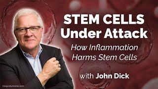 What Makes a Stem Cell a Stem Cell and How Does it Go Bad?