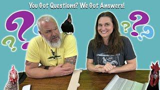 Video Chicken Live: You Got Questions? We Got Answers!