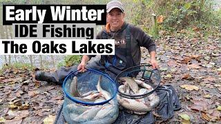 Early Winter IDE fishing - The Oaks Lakes I Alders Lake