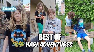 TOP 20 shorts Hari adventures | BEST OF