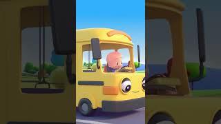 The little sheep rides on the animal bus  #CleoandCuquin #Cuquin