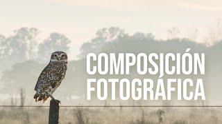 COMPOSICIÓN FOTOGRÁFICA | Reglas y Consejos que mejorarán tus fotos. EJEMPLOS PRÁCTICOS