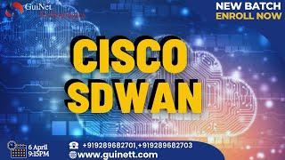 Cisco SDWAN- Learn Direct From Cisco Tac Engineer