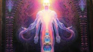 Why Visionary Art Matters by Alex Grey - Burning Man 2012