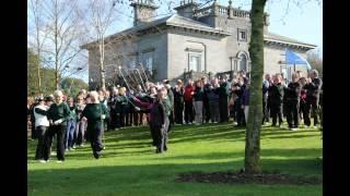 Knockanally Captains Drive-In 2012