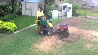 Angry Ant Tree Services - Stump Grinding