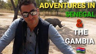 Adventures in  SENEGAL &  THE GAMBIA, West Africa