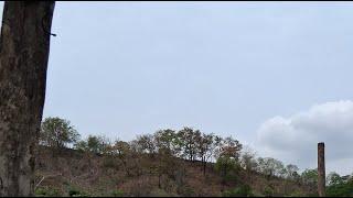 LES MUESTRO DE DIA   #EL #RANCHO  @CANDELARIA GUTIÉRREZ, 1 está en vivo