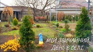 МІЙ ЗВИЧАЙНИЙ ДЕНЬ В СЕЛІ. ДОЩ ЗМІНИВ УСІ ПЛАНИ. ПЕРЕЇХАЛИ З МІСТА В СЕЛО.