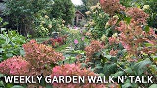 Weekly Garden Tour / September Walk n’ Talk in my Cottage Garden / Northlawn Flower Farm