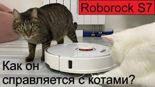 XIAOMI Roborock S7 лучший робот-пылесос в дом с животными.NEW Вибрирующая тряпка! Умный дом и котики