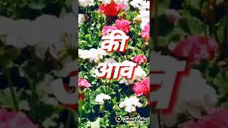 https://youtu.be/Pxcwkplkbx4
