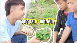 Phương Hữu Dưỡng Mua Một Bó Rau Với Giá 10 Triệu Đồng ?