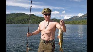 Bare-chested Vladimir Putin boats, sunbathes and picks mushrooms in Siberia!