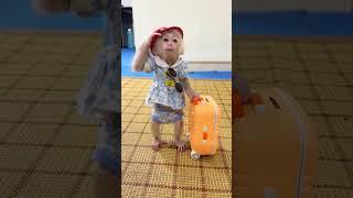 Baby monkey  #remix #music #shorts #ytshorts #youtubeshorts #trending #viralvideo